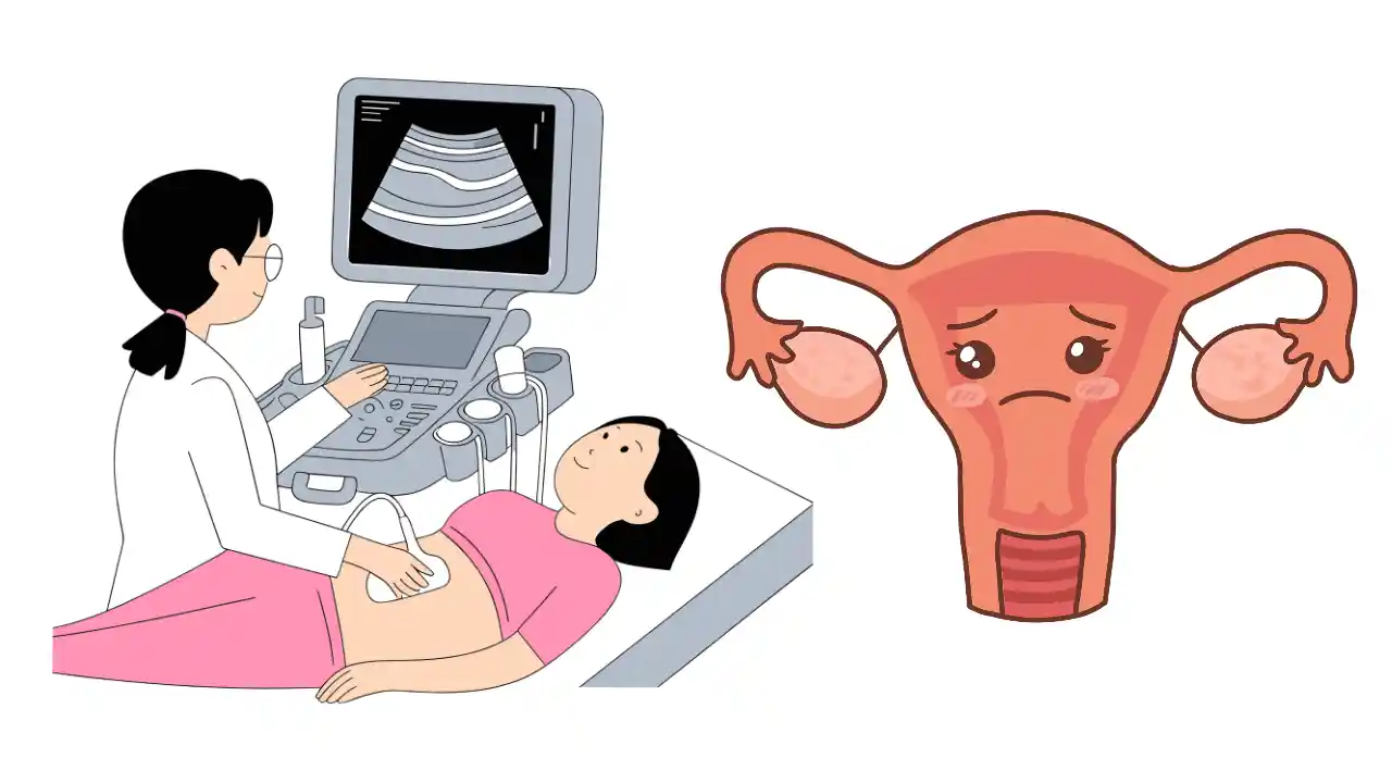 <p class="ql-align-right" dir="rtl">عورتوں کا رحم باہر آنے کا یونانی علاج</p><p>Uterine Prolapse Herbal Remedy — TheBaseHerbs.com</p>